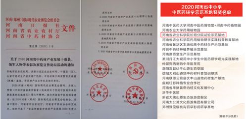 我院喜獲2020 河南省中小學中醫藥研學示范基地